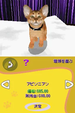 Snapshot